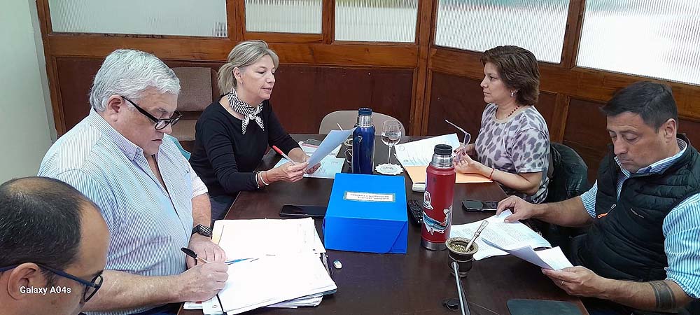 Comisión de Cultura 2025